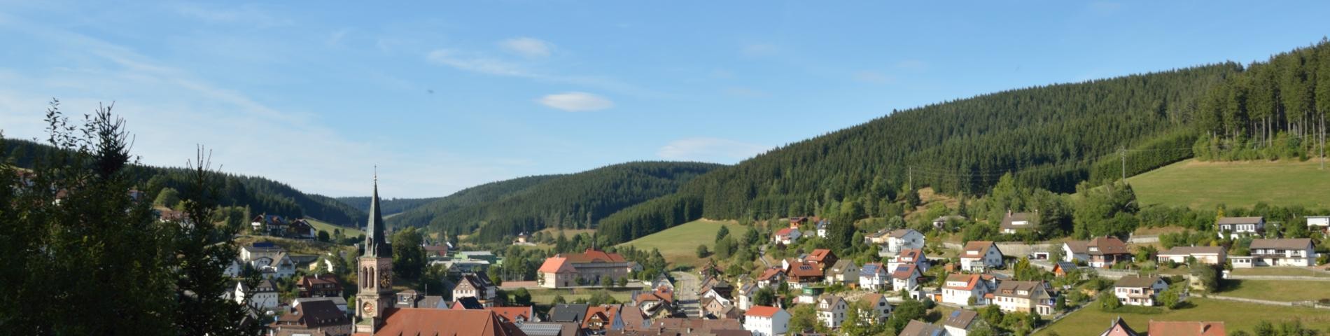 Stadtansicht Vöhrenbach