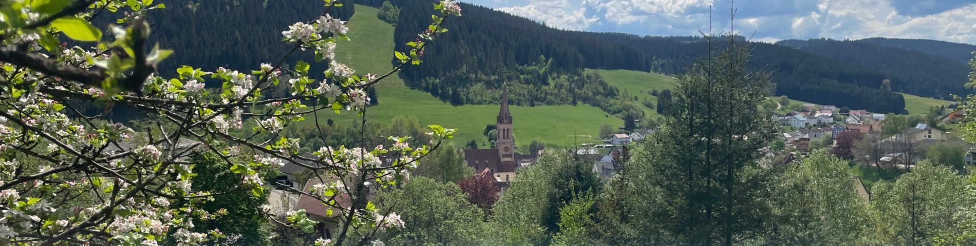 Stadtansicht Vöhrenbach