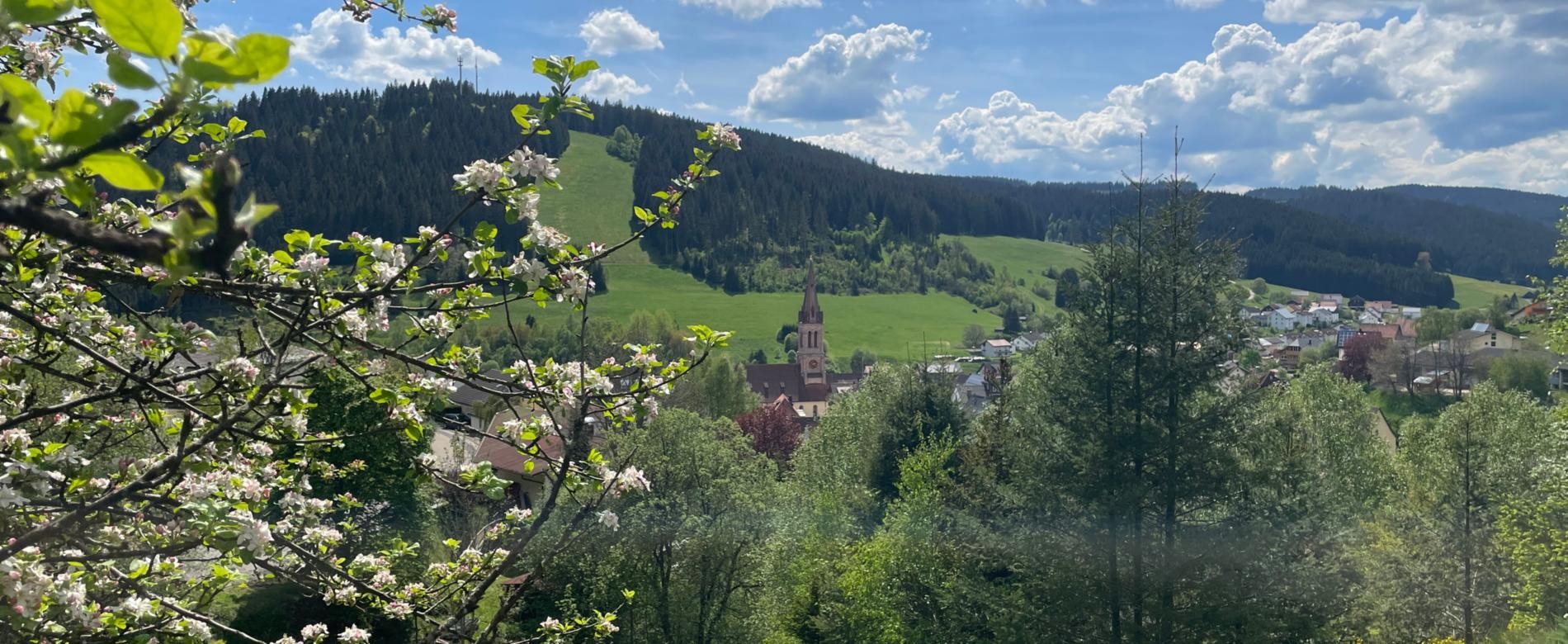 Stadtansicht Vöhrenbach