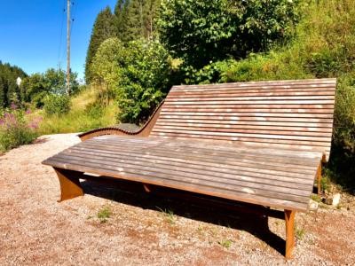 zum Vergrößern klicken Himmelsliege an Linachtalsperre