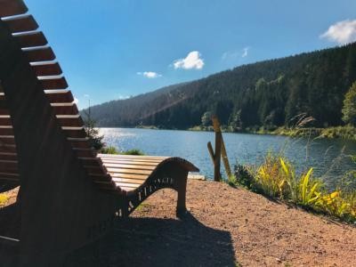 zum Vergrößern klicken Blick von der Himmelsliege auf die Linachtalsperre bei Sonnenschein